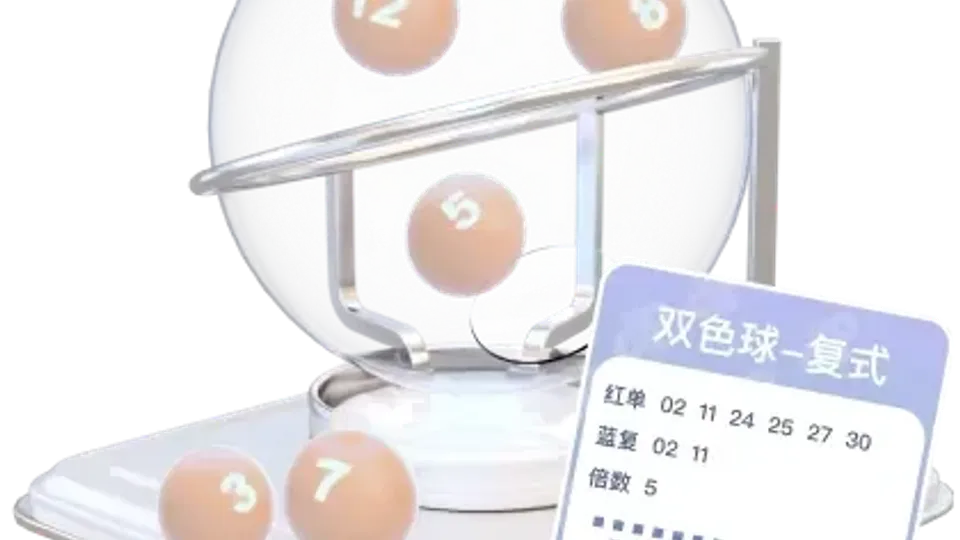 PC蛋蛋网页版常见问题：手机查看与数据核对方法